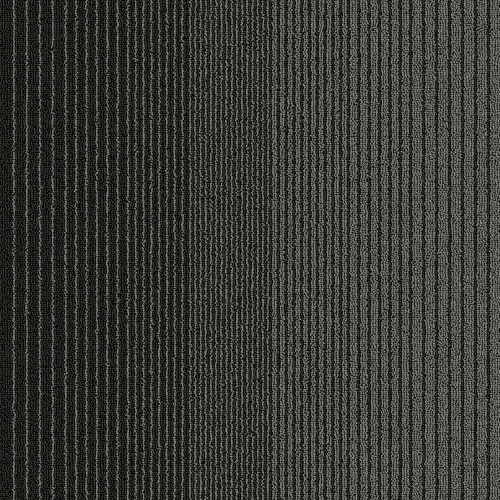AMBITION - Image 3