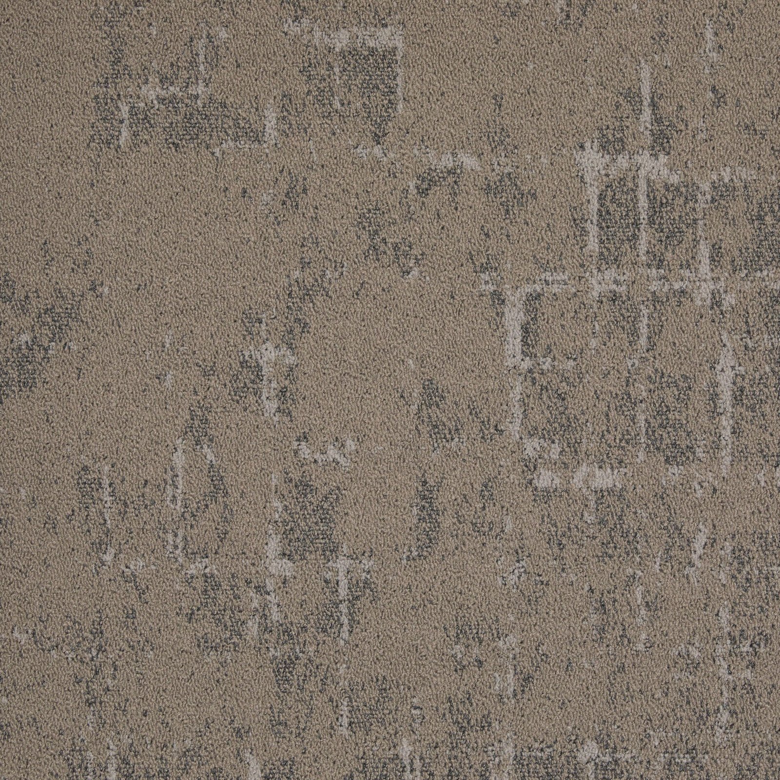 GRID - Image 2