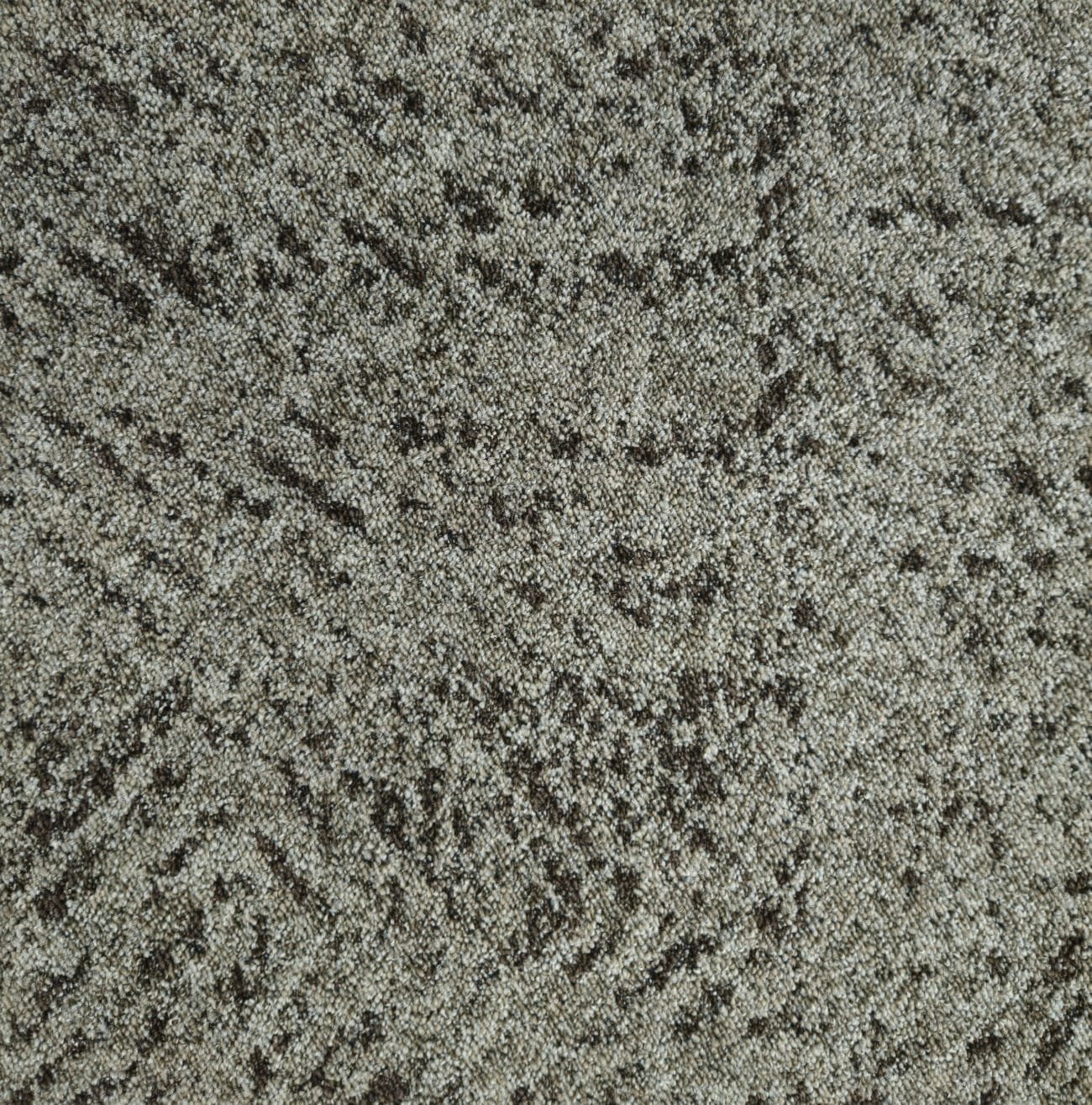 EROS - Image 4