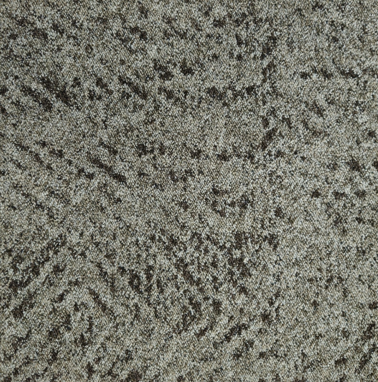 EROS - Image 4
