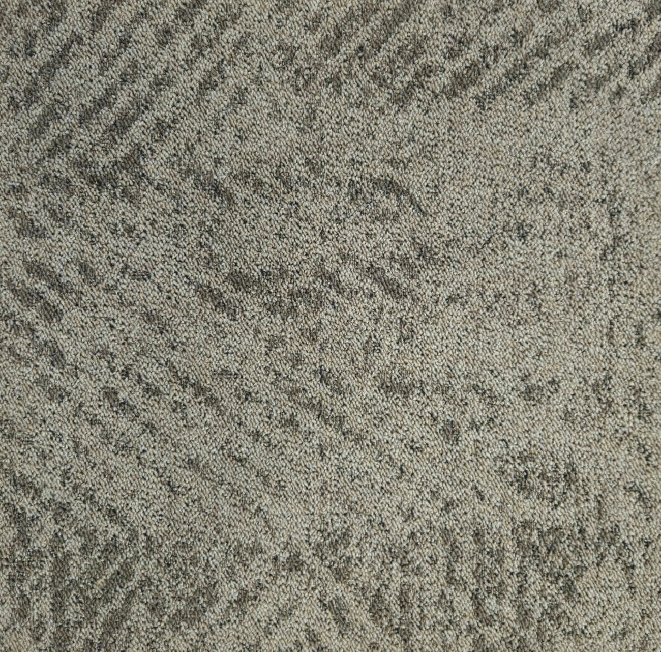 EROS - Image 3