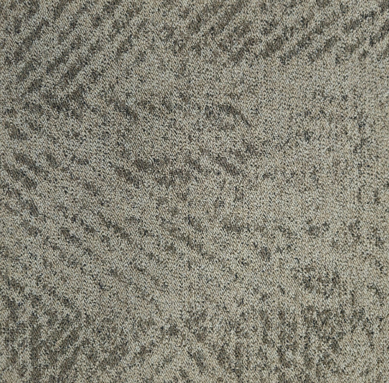 EROS - Image 3