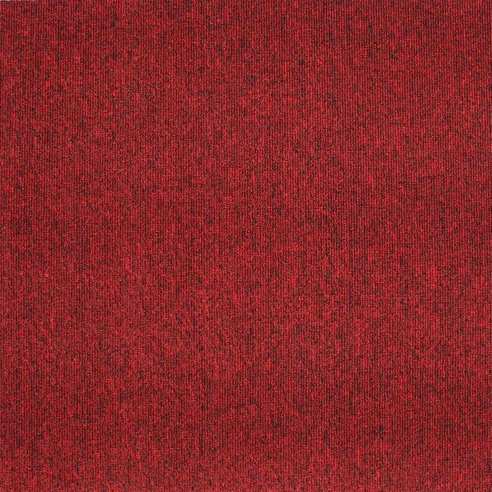 SOLAR - Image 10