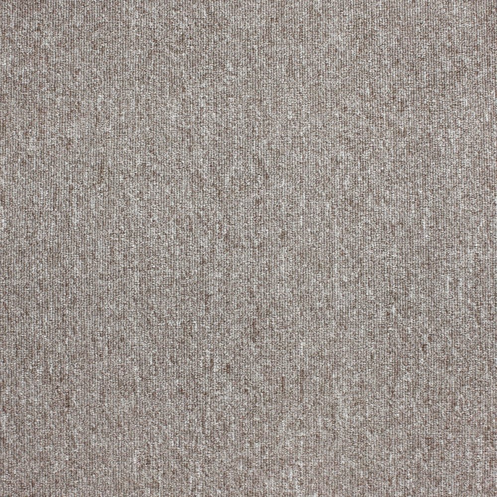 SOLAR - Image 8