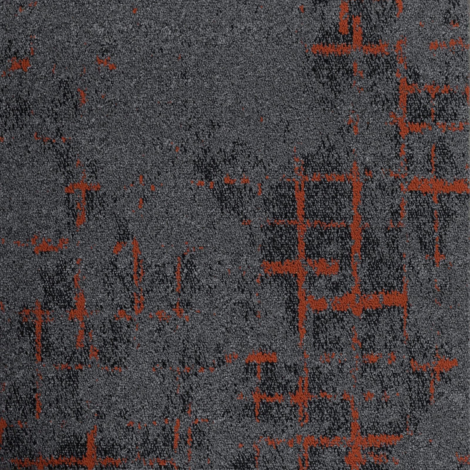 GRID - Image 6