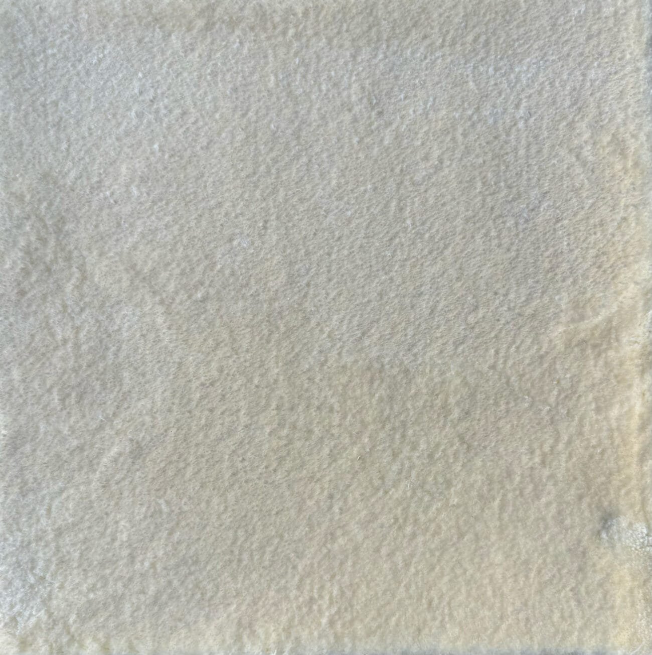 FEATHER TOUCH - Image 5