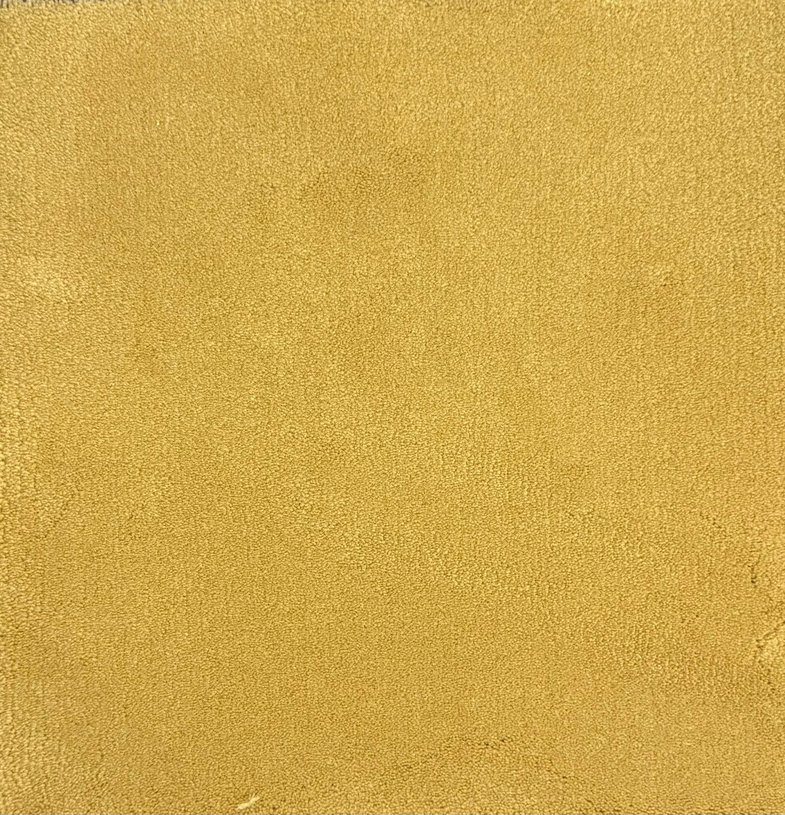 MONARCH - Image 2