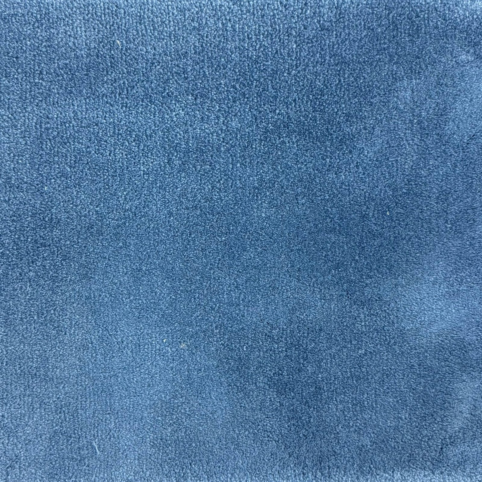 MONARCH - Image 6