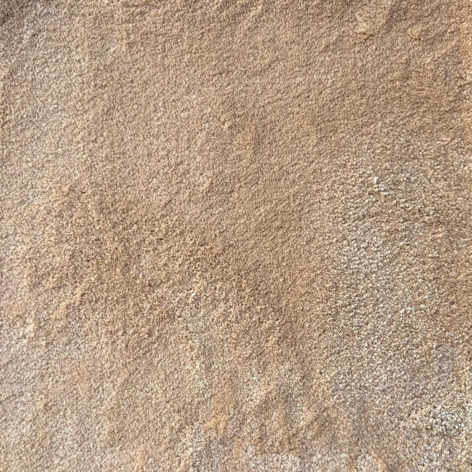 SOFT TOUCH - Image 3