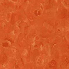 Homogeneous Flooring